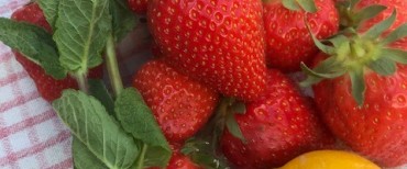 confiture de fraise confiture de fraise